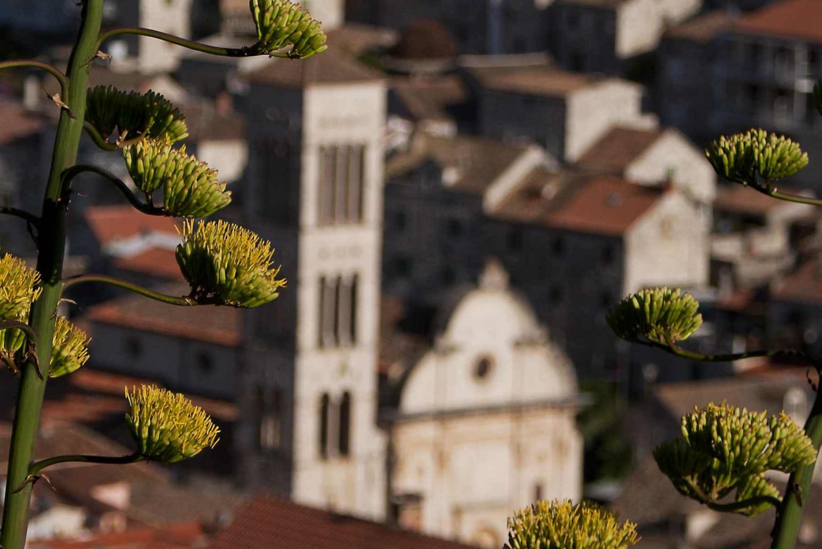 Photo of Catedral de San Esteban, Hvar Heritage